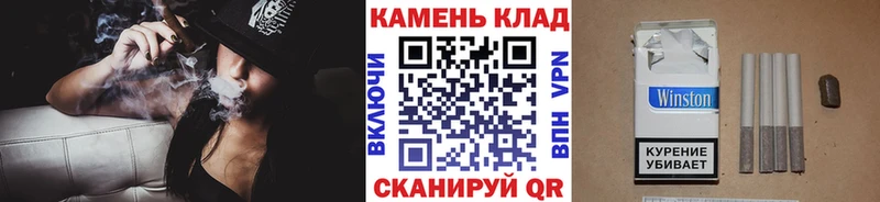ГАШ Cannabis KRAKEN ONION Темников