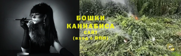 PSILOCYBIN Остров