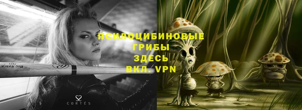 PSILOCYBIN Остров